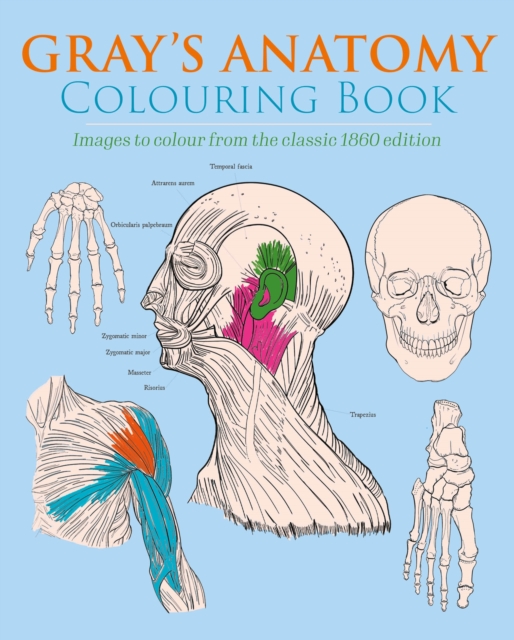 Gray's Anatomy Colouring Book - Henry|carter Gray