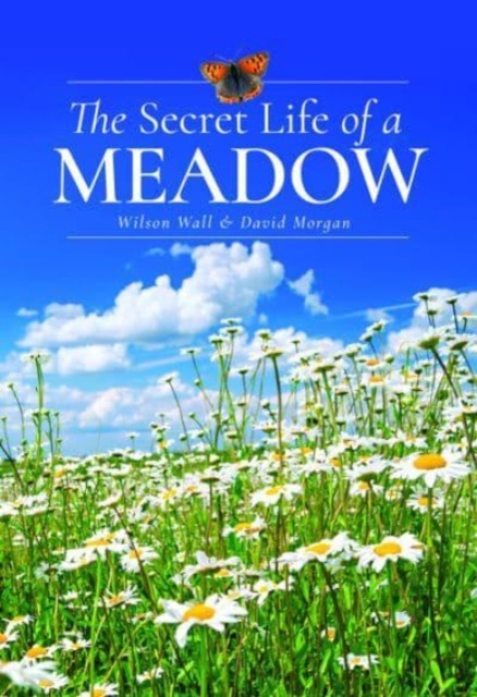 Secret Life of a Meadow - Wilson|morgan Wall
