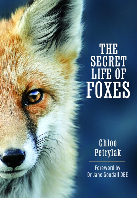 Secret Life of Foxes - Chloe Petrylak