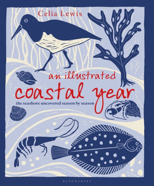 Illustrated Coastal Year - Celia Lewis