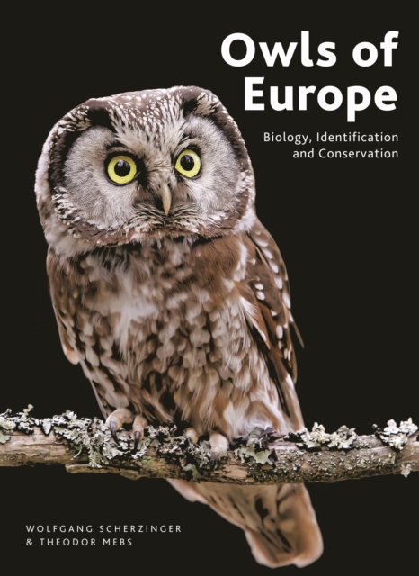 Owls of Europe - Wolfgang|mebs Scherzinger