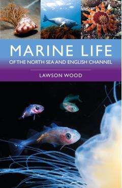 Coperta cărții 'Marine Life of the North Sea and English Channel - Lawson Wood'