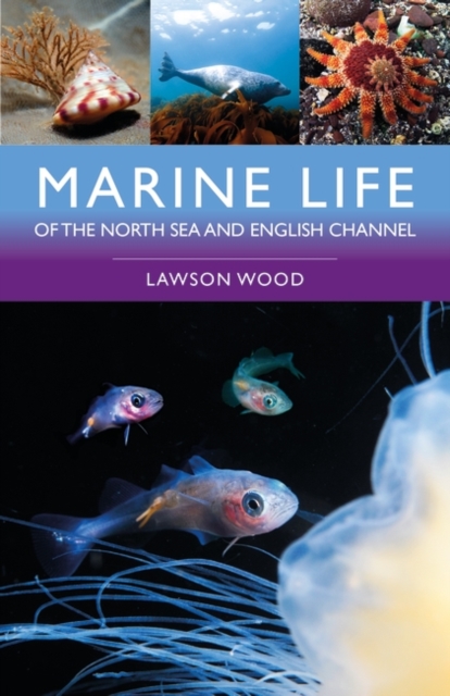 Marine Life of the North Sea and English Channel - Lawson Wood