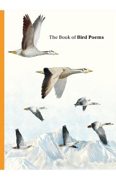 Book of Bird Poems - Ana Sampson