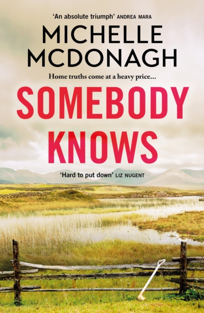 Coperta cărții 'Somebody Knows - Michelle Mcdonagh'