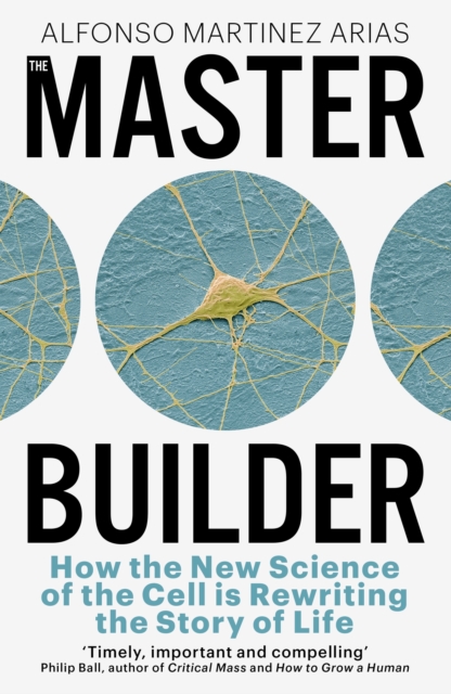 Master Builder - Alfonso Martinez Arias