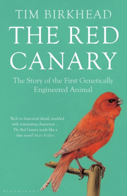Red Canary - Tim Birkhead