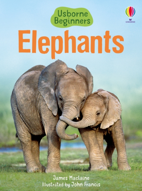 Elephants - James Maclaine