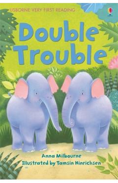 Coperta cărții 'Double Trouble - Anna Milbourne'