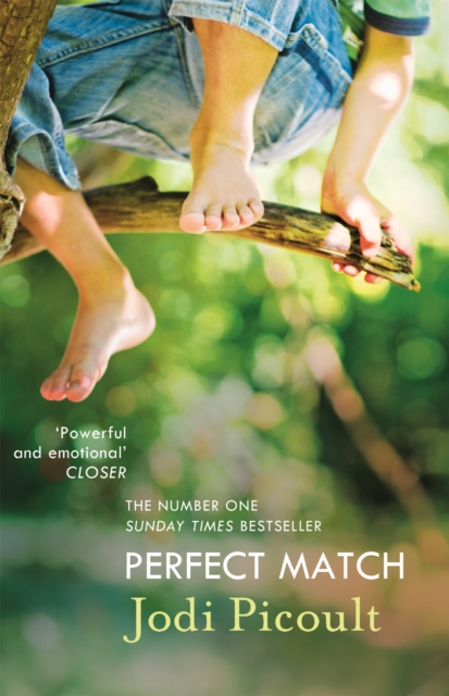 Perfect Match - Jodi Picoult