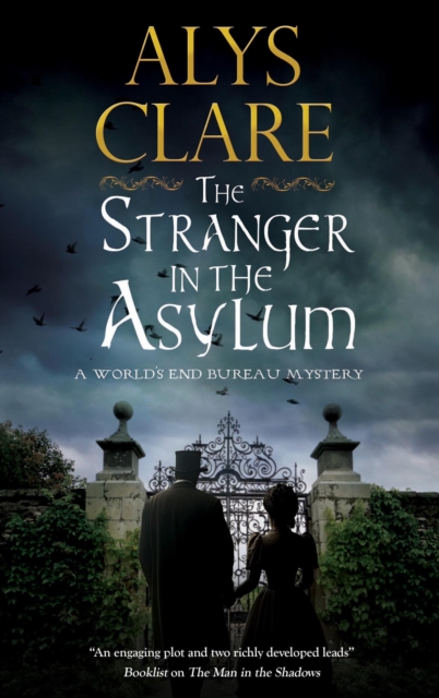 Stranger in the Asylum - Alys Clare