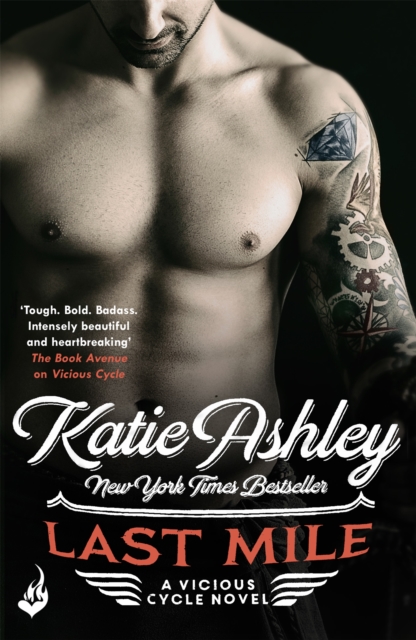 Last Mile: Vicious Cycle 3 - Katie Ashley