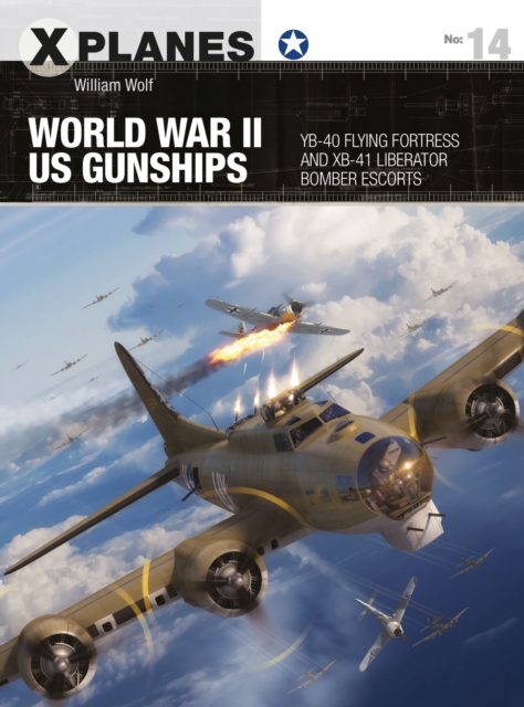 World War II US Gunships - Dr William Wolf