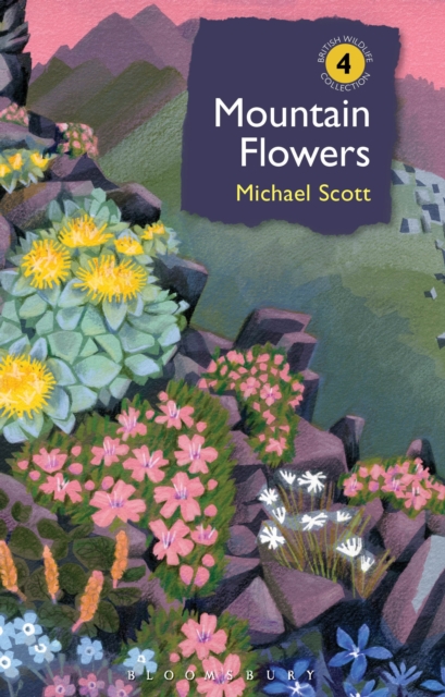 Mountain Flowers - Michael (author) Scott