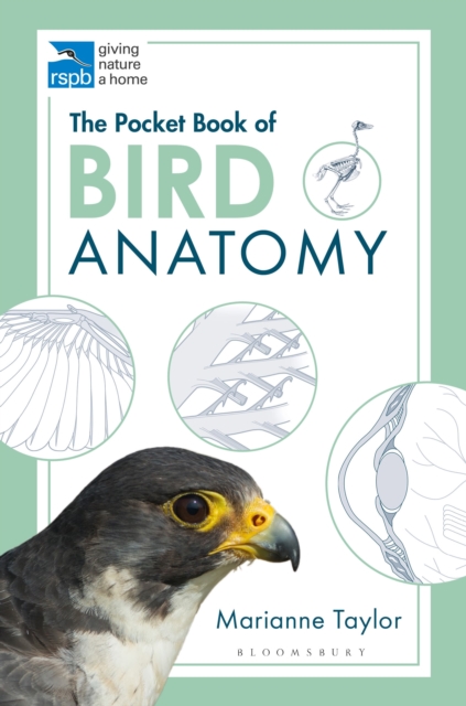 Pocket Book of Bird Anatomy - Marianne Taylor