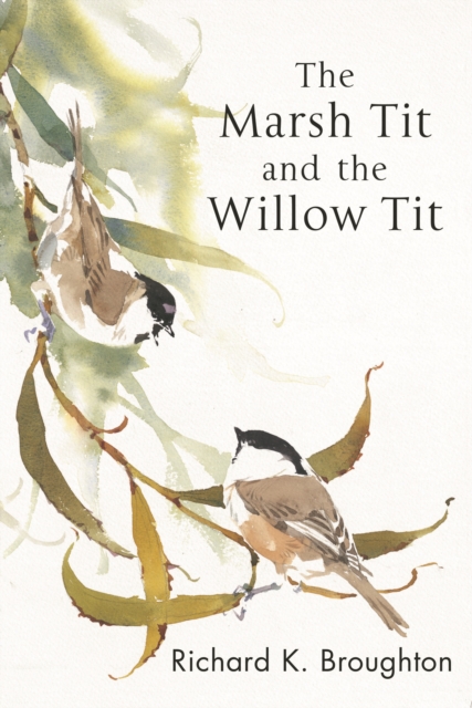 Marsh Tit and The Willow Tit - Richard Broughton