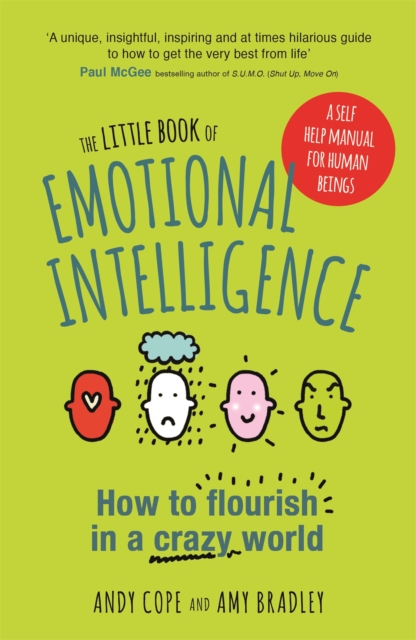 Little Book of Emotional Intelligence - Andy|bradley Cope