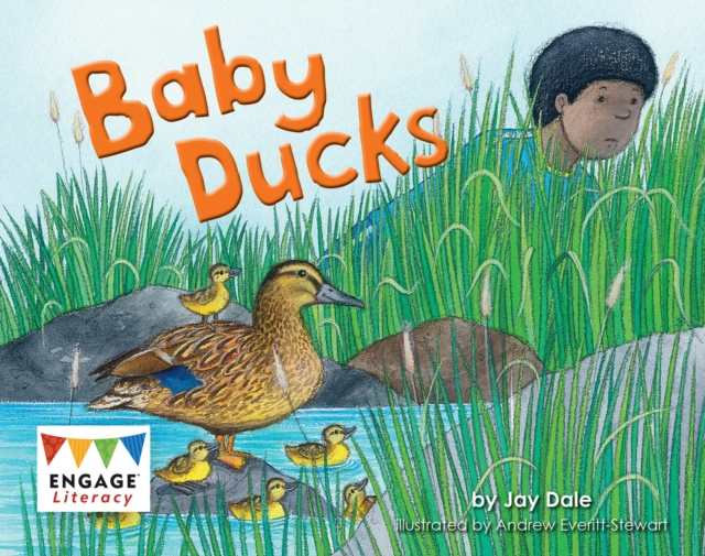 Baby Ducks - Jay Dale