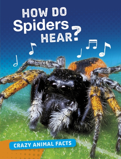 How Do Spiders Hear? - Nancy Furstinger