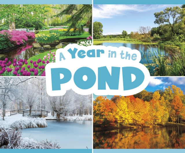 Year in the Pond - Christina Mia Gardeski