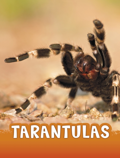 Tarantulas - Jaclyn Jaycox