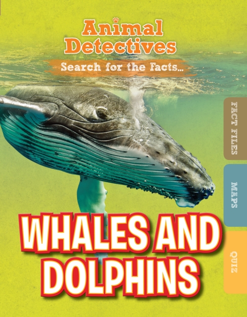 Whales and Dolphins - Anne O'daly