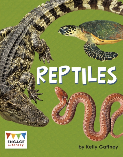 Reptiles - Kelly Gaffney