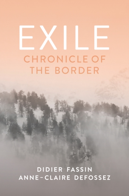 Exile - Didier (institute For Advanced Study Fassin
