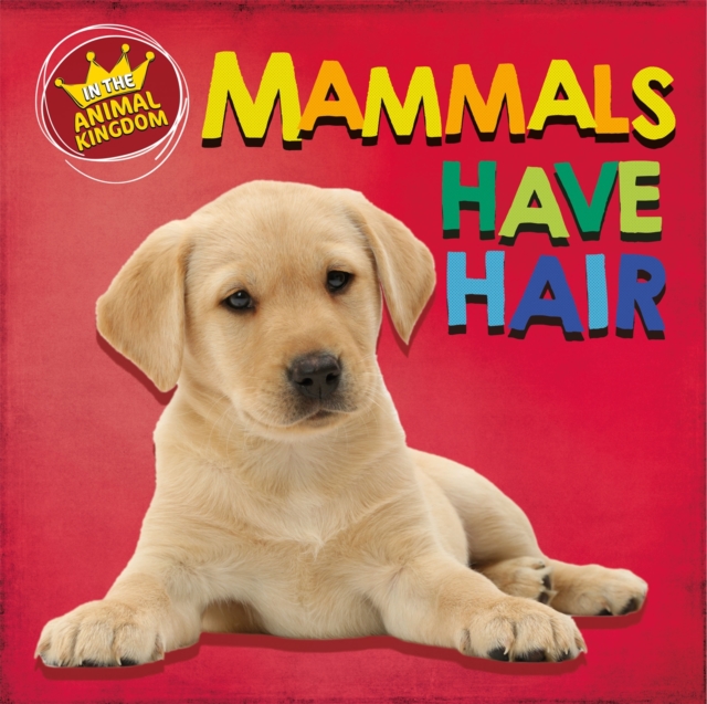 In the Animal Kingdom: Mammals Have Hair - Sarah Ridley