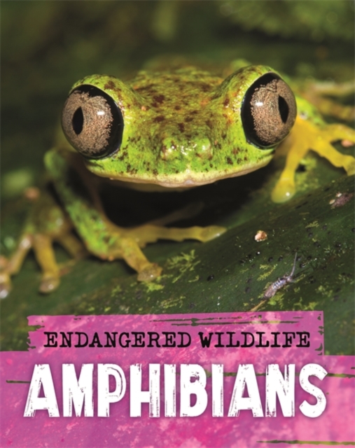 Endangered Wildlife: Rescuing Amphibians - Anita Ganeri