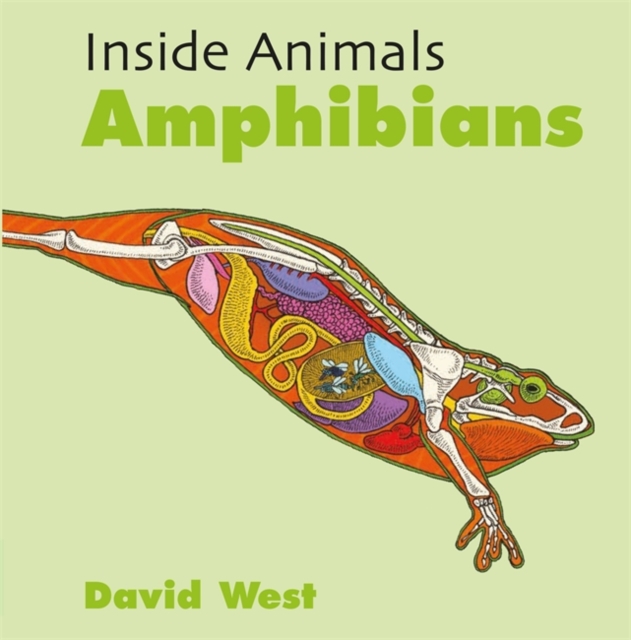 Inside Animals: Amphibians - David West