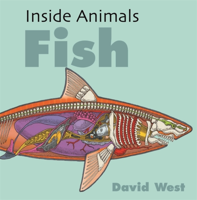 Inside Animals: Fish - David West