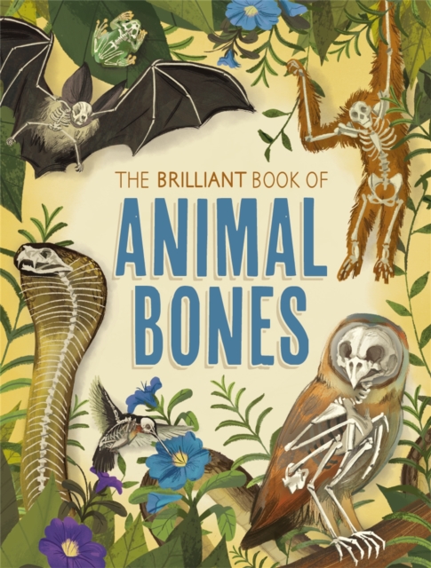 Brilliant Book of Animal Bones - Anna Claybourne