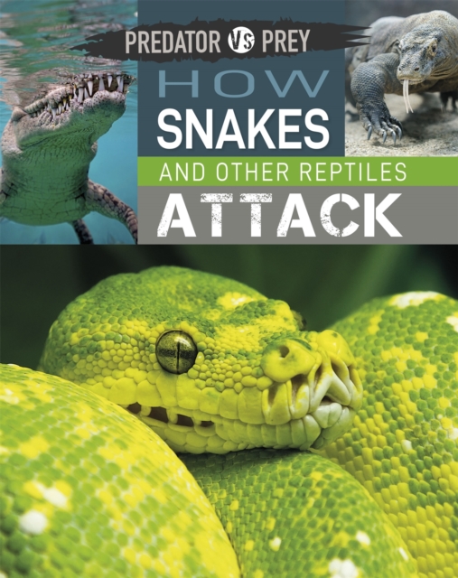 Predator vs Prey: How Snakes and other Reptiles Attack - Tim Harris