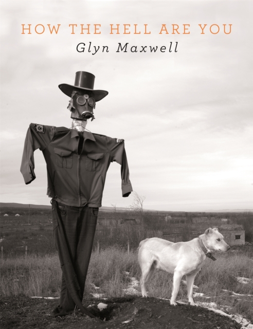 How The Hell Are You - Glyn Maxwell