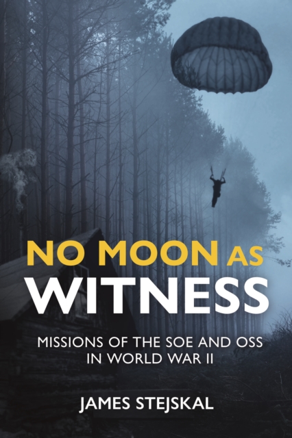 No Moon as Witness - James Stejskal