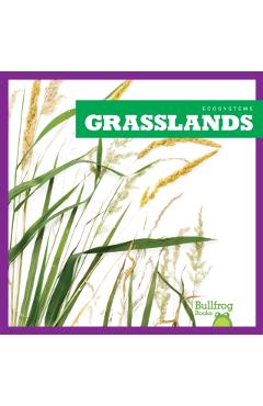 Coperta cărții 'Grasslands - Nadia Higgins'
