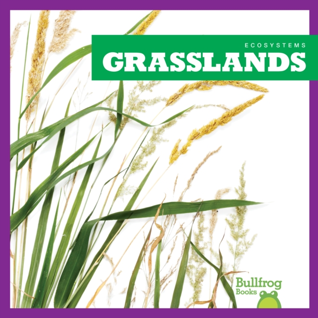 Grasslands - Nadia Higgins