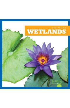 Poza produsului Wetlands - Nadia Higgins