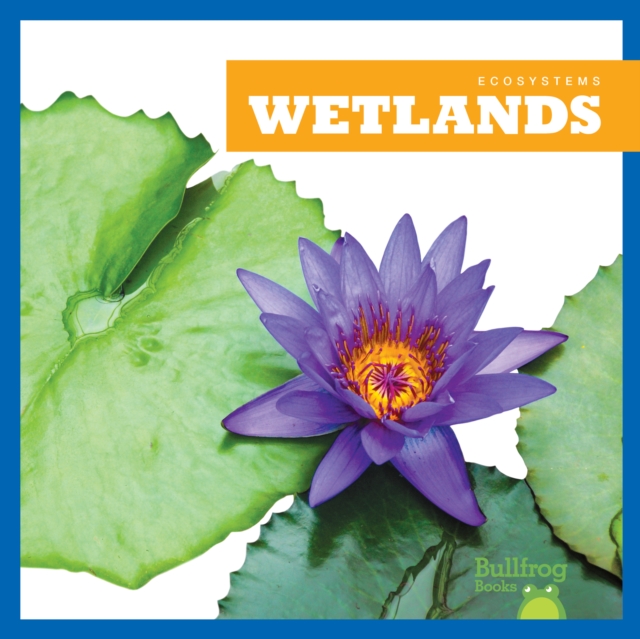 Wetlands - Nadia Higgins