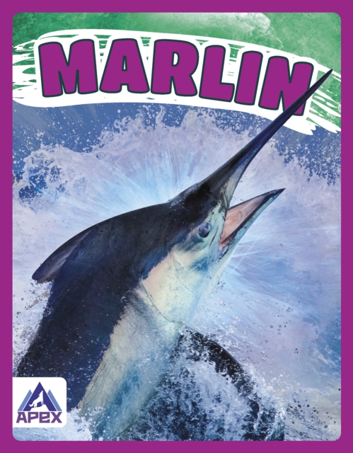 Marlin - Katie Chanez