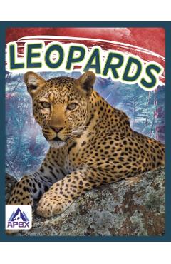 Poza produsului Leopards - Sophie Geister-jones