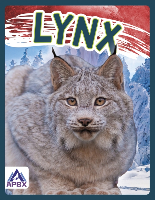 Lynx - Sophie Geister-jones