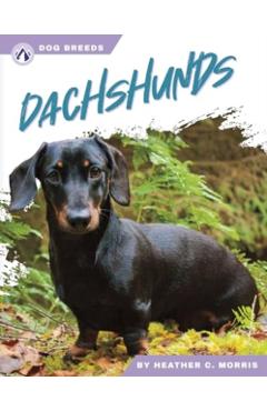 Poza produsului Dachshunds - Heather C. Morris