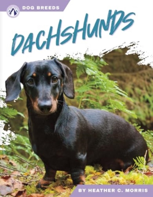 Dachshunds - Heather C. Morris