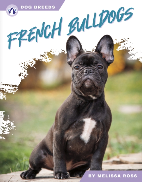 French Bulldogs - Melissa Ross