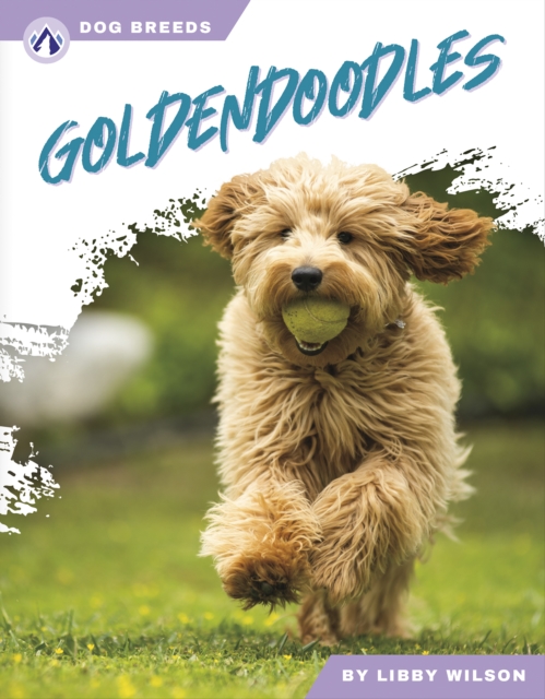 Goldendoodles - Libby Wilson