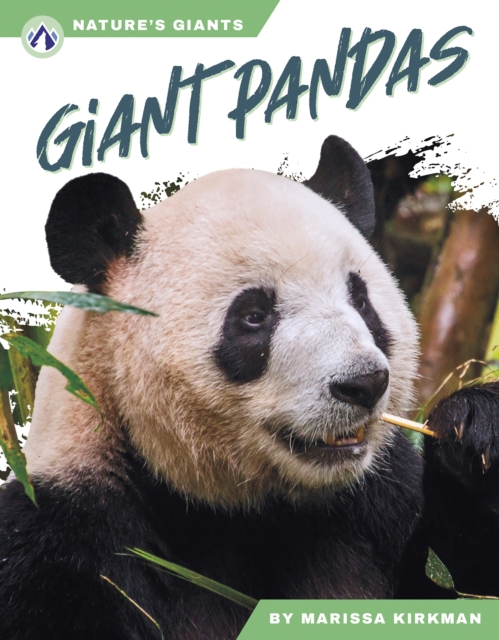 Giant Pandas - Marissa Kirkman