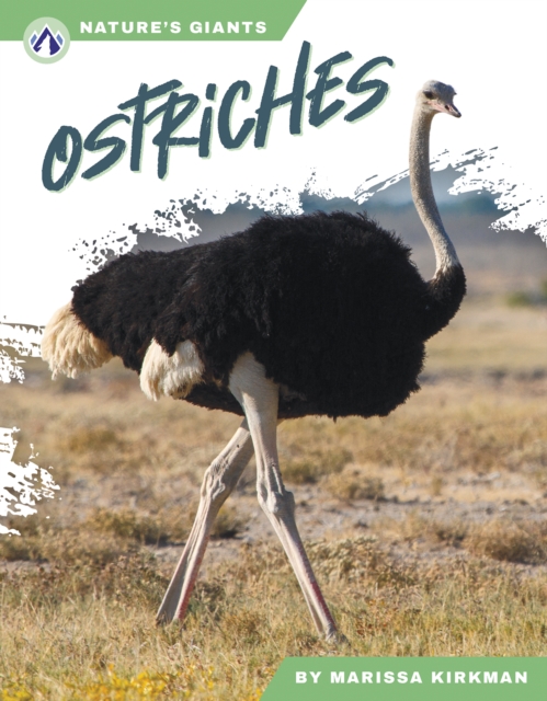 Ostriches - Marissa Kirkman