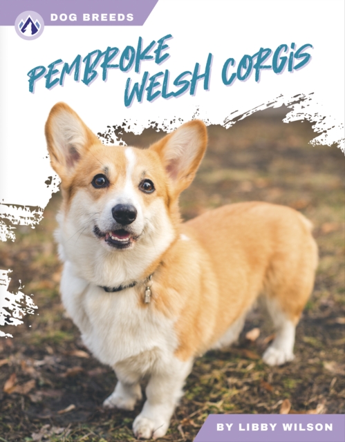 Pembroke Welsh Corgis - Libby Wilson